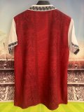 25-26 Mainz Red Special Edition Fans Soccer Jersey