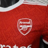 25-26 ARS Red Special Edition Player Version Training Shirts (三叶)