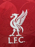 25-26 LIV Red Special Edition Player Version Training shirts (队标纹)