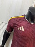 2026 Venezuela Home Player Version Soccer Jersey