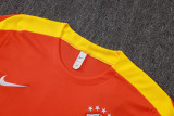 25-26 Brazil High Quality Training Short Suit
