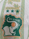 2026 Côte d'ivoire Away Player version Soccer Jersey