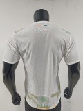 2026 Côte d'ivoire Away Player version Soccer Jersey