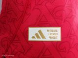 25-26 ARS Home Player Version Soccer Jersey（UEFA Champions League Final）决赛版