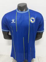 2026 World Cup Bosnia And Herzegovina Home player Soccer Jersey