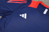 2024 AD Royal blue Training Short Suit