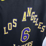 2024 LAKERS JAMES #6Top Quality Hot Pressing Kids NBA Jersey