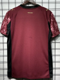 25-26 Galatasaray Third Fans Soccer Jersey (五星)