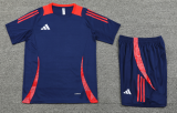 2024 AD Royal blue Training Short Suit