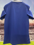2025 AD Blue Casual T-Shirt (三叶AD)