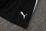 25-26 Portugal High Quality Training Short Suit