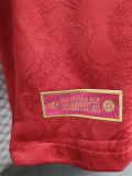 25-26 Bayern 125th Anniversary Player Version Soccer Jersey