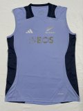 2024 High Quality Rugby Jersey 