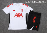 25-26 LIV High Quality Training Short Suit