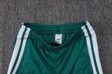 2025 AD Player Version Training Short Suit —Green 绿色