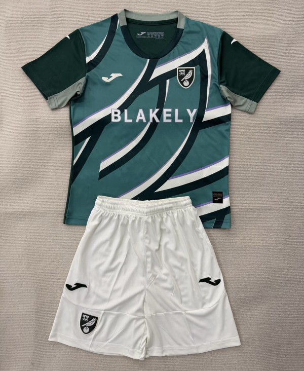 25-26 Norwich City Away Adult Suit