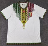 25-26 Mali White Special Edition Fans Soccer Jersey