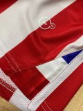 25-26 Chivas 110th Anniversary Commemorative Edition Home Long Sleeve Fans Soccer Jersey