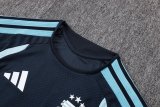 2026 Argentina Blue High Quality Player Version Training Short Suit (球员套装)