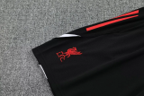25-26 LIV High Quality Tank Top And Shorts Suit