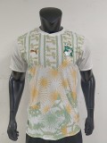 2026 Côte d'ivoire Away Player version Soccer Jersey