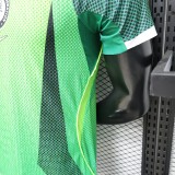 26-27 Nigeria Home Player Version Soccer Jersey
