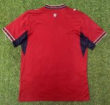 2026 World Cup  CZECH Home Fans Soccer Jersey