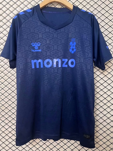 24-25 Coventry City Special Edition Fans Soccer Jersey