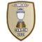 CAMPEON 2021(美洲杯冠军胸前杯)