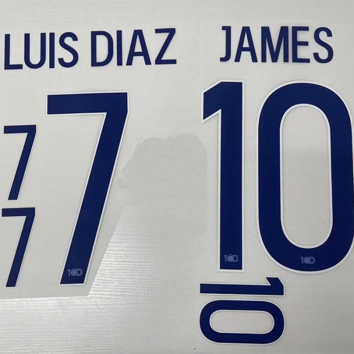 2024 Colombia White Fans Training shirts