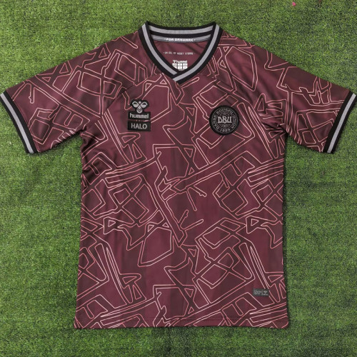 24-25 Denmark HALO Special Edition Fans Soccer Jersey