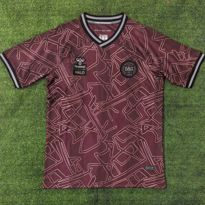 24-25 Denmark HALO Special Edition Fans Soccer Jersey
