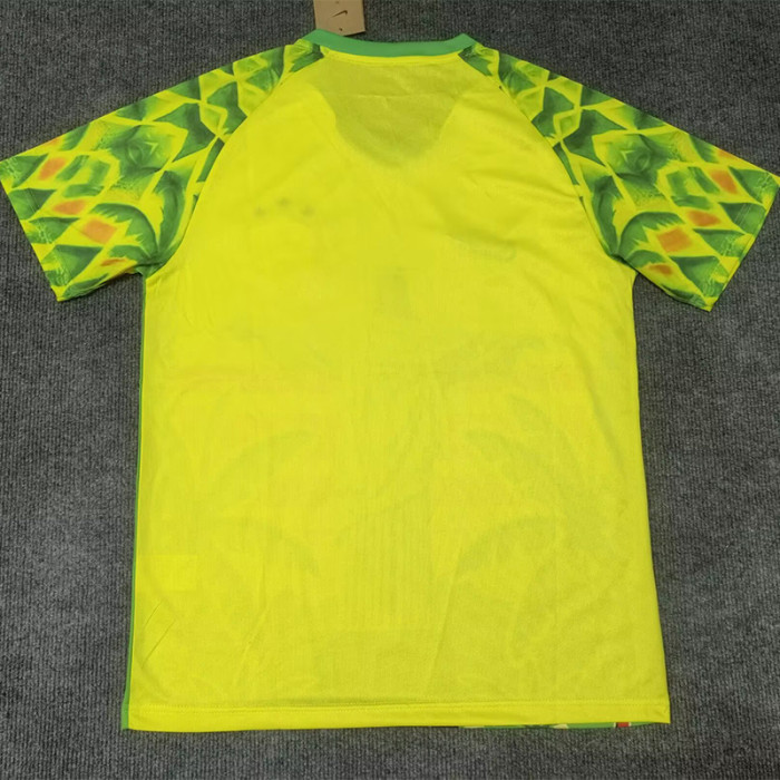 2025-26 Brazil Yellow Green Special Edition Training