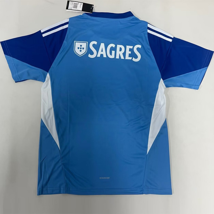 2025-26 Benfca Blue GoalKeeper Soccer Jersey