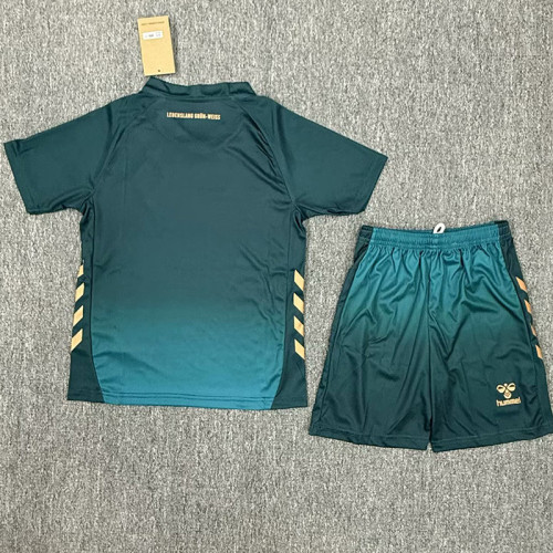 25-26 Werder Bremen Third Fans Soccer Jersey