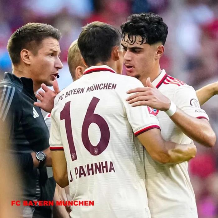 24-25 Bayern Third Kids Soccer Jersey *带袖广告
