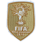 World Champions 2018世界杯胸前金盾