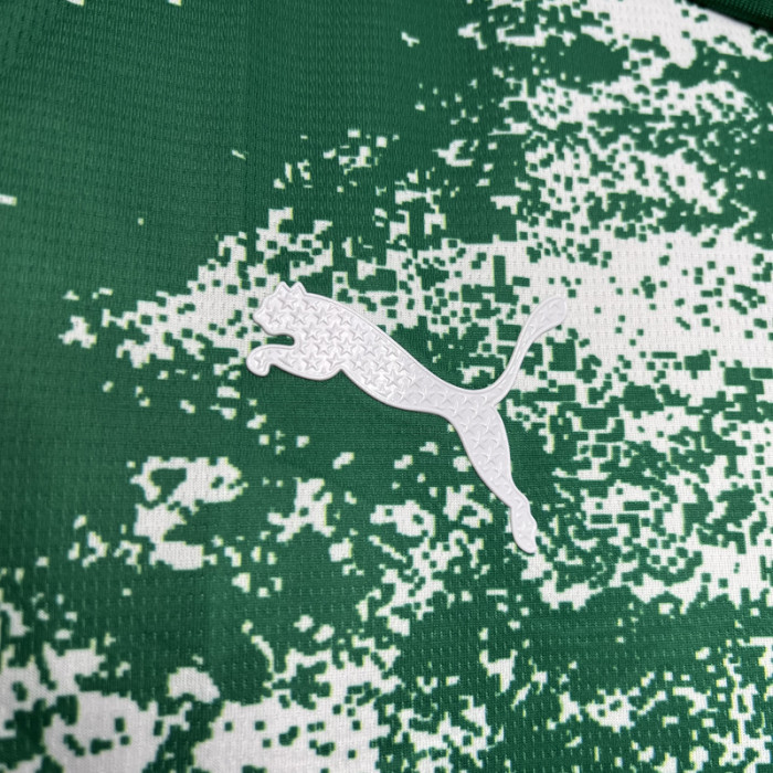 24-25 Palmeiras White Special Edition Training shirts