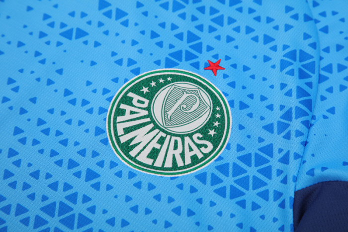 24-25 Palmeiras Lake blue Training Short Suit