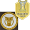 CAMPEAO 2023 +Brasileirao A2024(巴甲+联赛胸前冠)