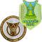 Brasileirao A2025+CAMPEAO2024(巴甲+联赛胸前冠