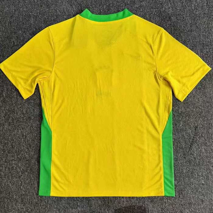 25-26 Brazil W Home Fans Soccer Jersey *带星