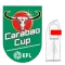 Carabao Cup +DXC.TE (英联赛杯+左袖广告)
