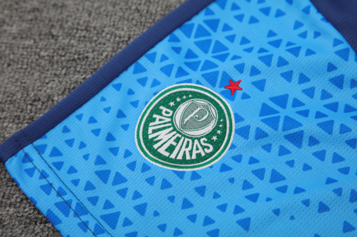 24-25 Palmeiras Lake blue Training Short Suit