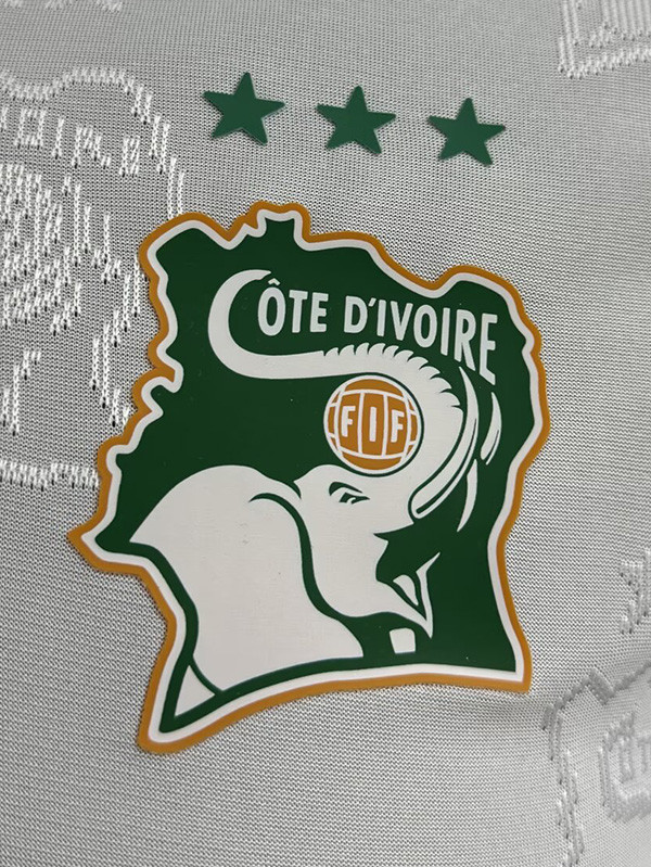 24-25 Ivory Coast White Special Edition Player Version Training shirts