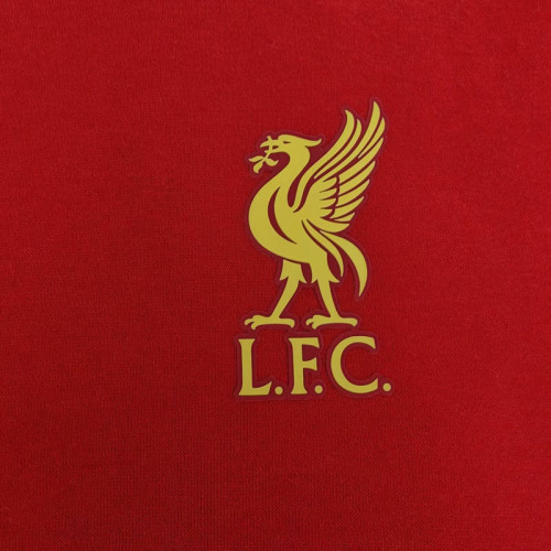24-25 LIV Red Hoody 红色(加绒)