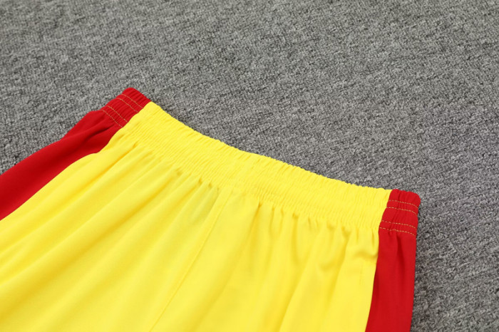 24-25 LIV Yellow Tank top and shorts suit