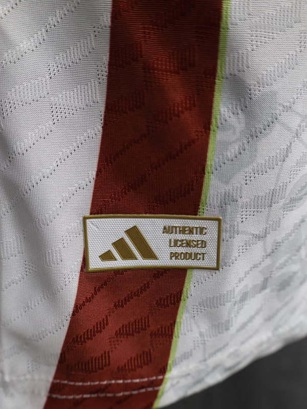 24-25 Spain White Special Edition Player Version Soccer Jersey
