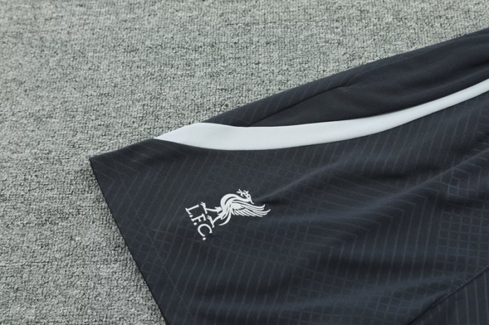 24-25 LIV Grey Training Shorts Pants
