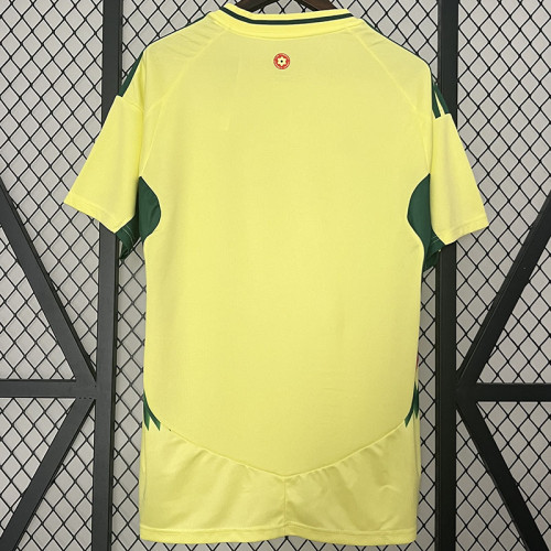24-25 Wales Away Fans Soccer Jersey